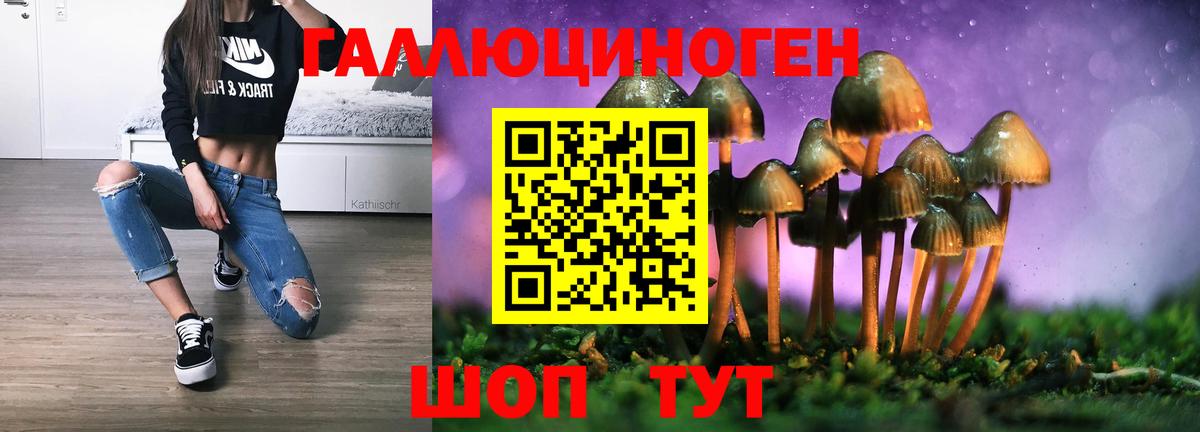 Псилоцибиновые грибы MAGIC MUSHROOMS  Псилоцибиновые грибы Psilocybe  Урус-Мартан  Вход с VPN 