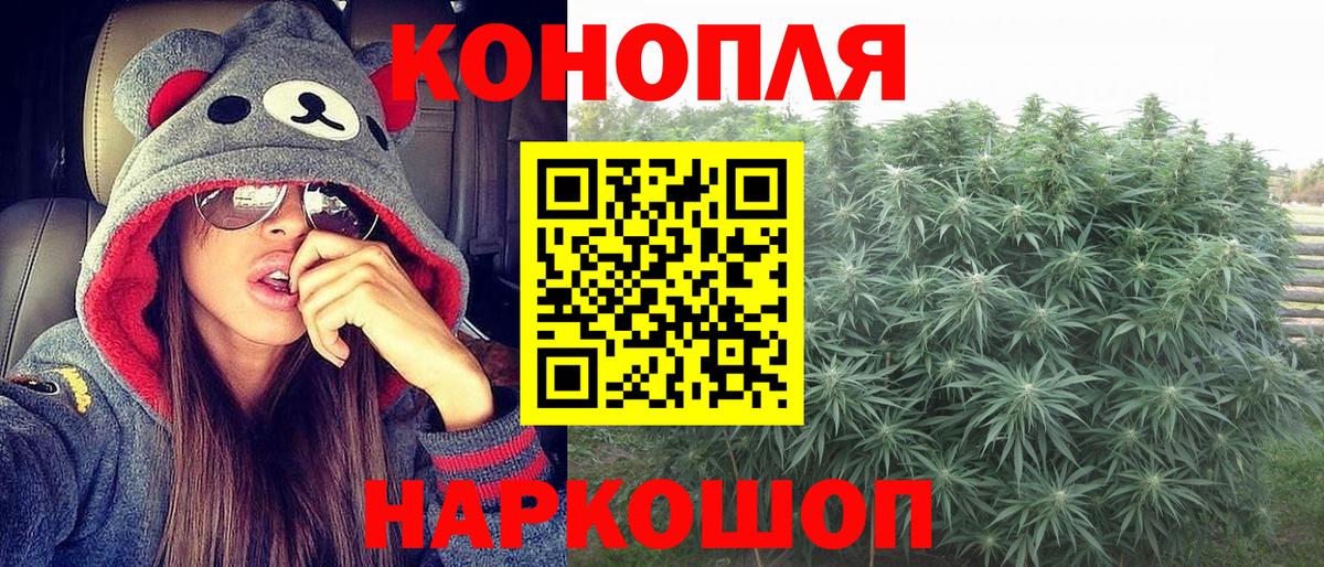 Канабис тримм Урус-Мартан